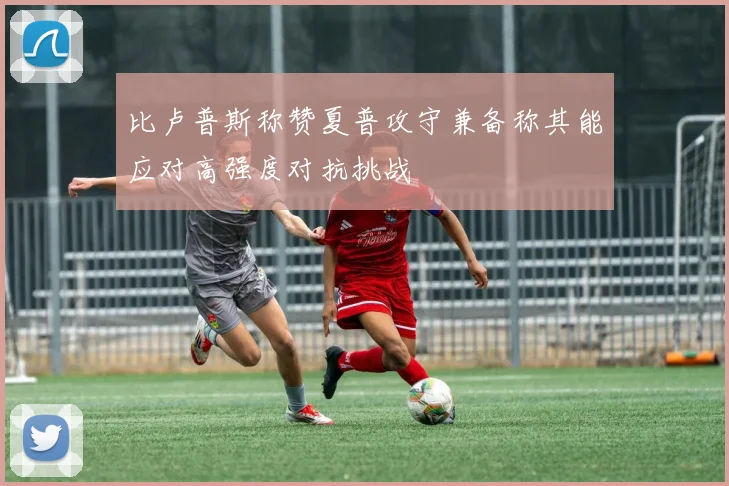 比卢普斯称赞夏普攻守兼备称其能应对高强度对抗挑战